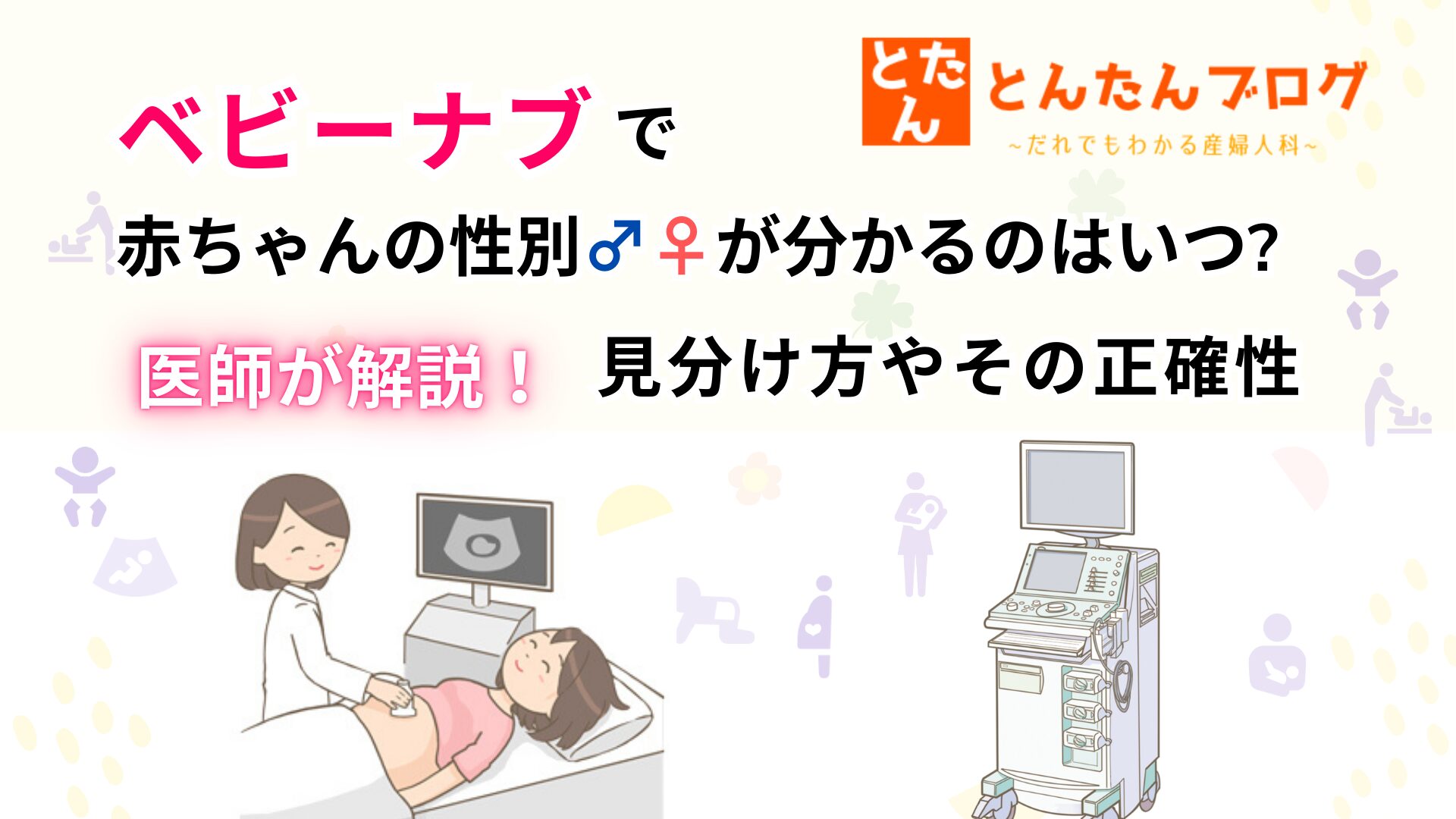 ベビーナブで赤ちゃんの性別♂♀が分かるのはいつ?医師が解説!見分け方やその正確性